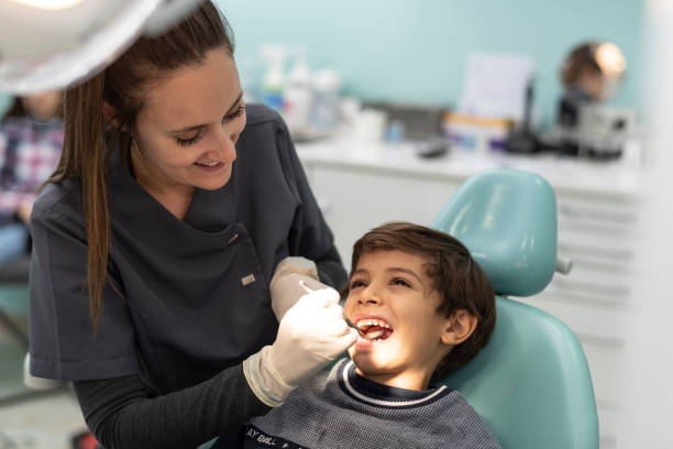 Best Emergency Dental Care for Broken or Chipped Teeth in Bardmoor, FL